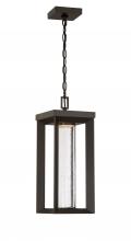  72794-143-L - Shore Pointe - LED Exterior Chain Hung