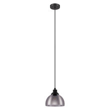  204239A - Beleser 1-Light Pendant