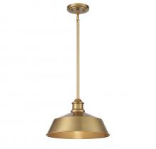  M7021NB - 1-Light Pendant in Natural Brass