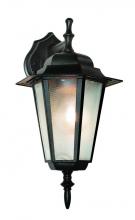  4056 BK - Alexander Outdoor 1-Light Frosted Glass and Metal Coach Wall Lantern