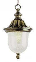  4185 SWI - 1LT HANGING LANTERN SWI