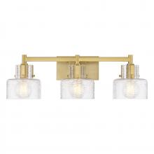  8-1030-3-322 - Dover 3-Light Bathroom Vanity Light in Warm Brass