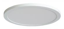 Lighting by PARK A30349 - FLUSH MOUNT