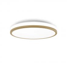 Lighting by PARK A17087 - FLUSH MOUNT