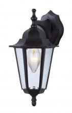  IOL210 - Outdoor 1 Light Outdoor Lantern, Black Finish