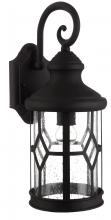 Canarm IOL209BK - Atlanta 1 Light Outdoor Lantern, Black Finish