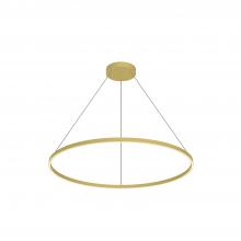  PD87748-BG - Cerchio 48-in Brushed Gold LED Pendant