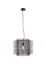  LD2344BK - Deleon 1 Light Black Pendant