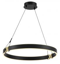  P5405-689-L - LED PENDANT