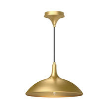  PD627914BG - Abel 14-in Brushed Gold 1 Light Pendant