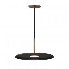  E34001-ACP - Berliner-Single Pendant